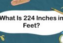 What Is 224 Inches in Feet