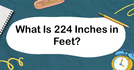 What Is 224 Inches in Feet