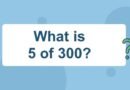 What is 5 of 300