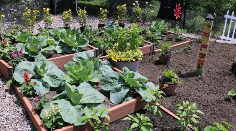 Maximizing Your Garden Space with Raised Planter Boxes