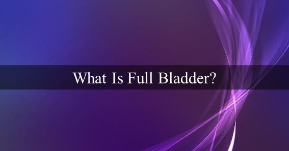 What Is Full Bladder